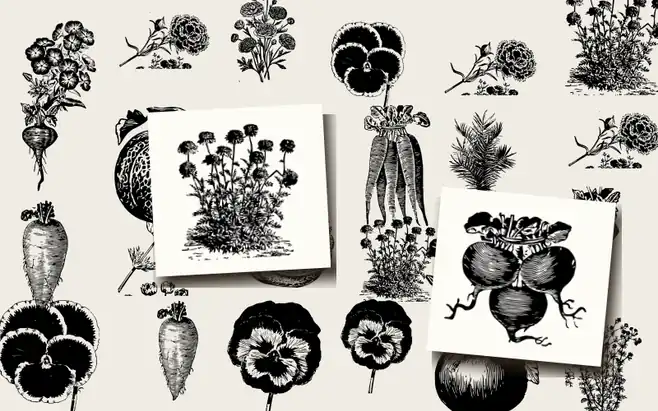 Catalogue of Seeds, Agricultural and Horticultural Supplies
