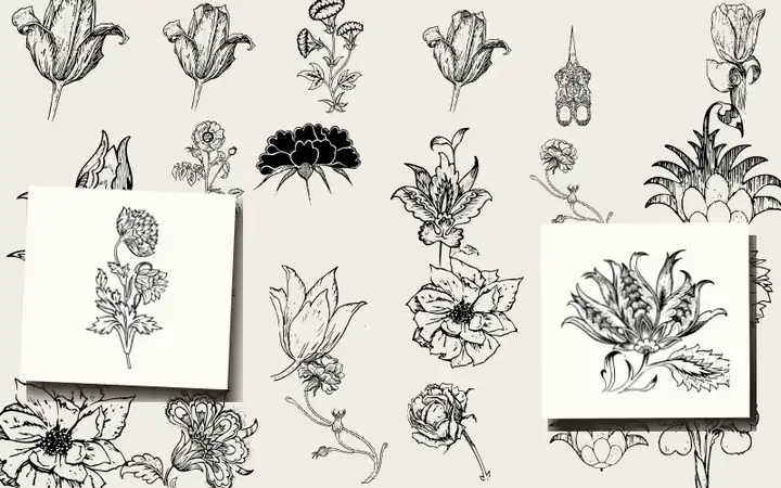 Heraldry and Floral Forms as Used in Decoration